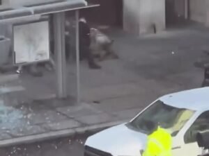 White house shooting