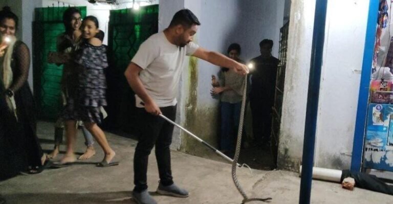Korba Snake News