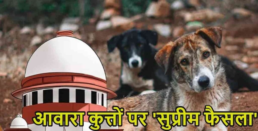 Supreme Court Verdict On Stray Dogs