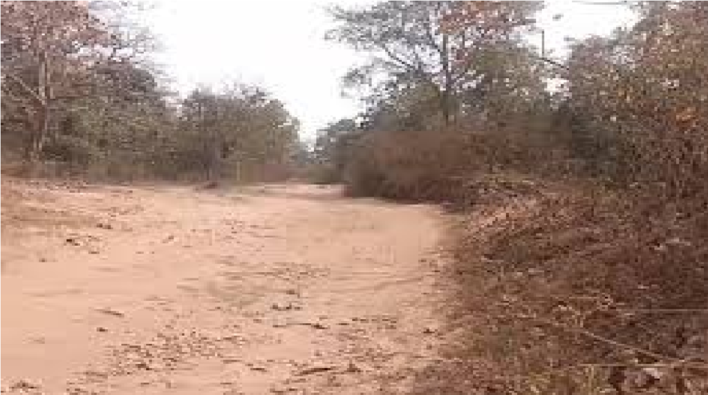 Naxal IED Recovery News