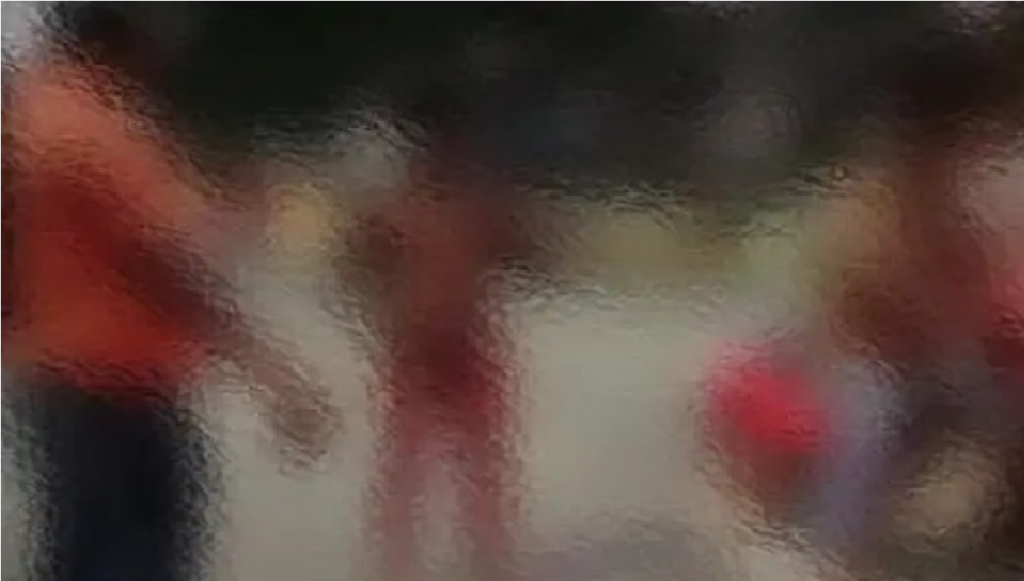 Chhattisgarh Mob Justice Case