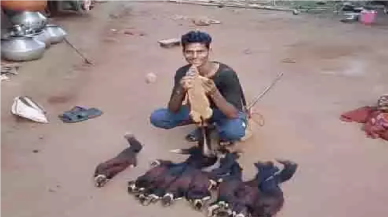 Chhattisgarh Wildlife Crime News