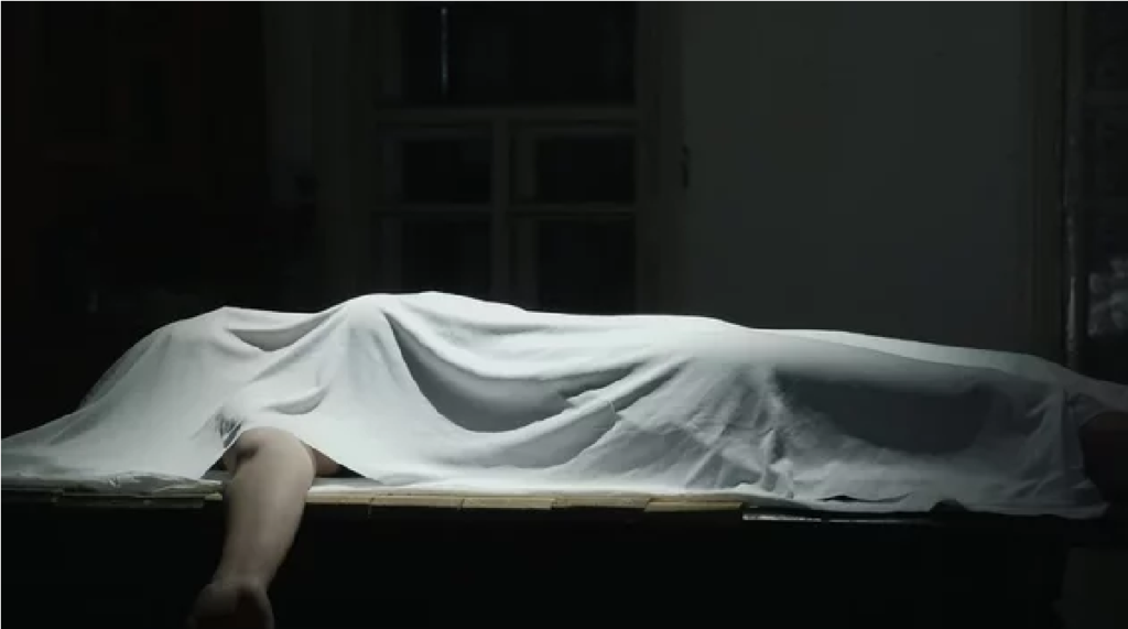 Chhattisgarh Domestic Violence Case