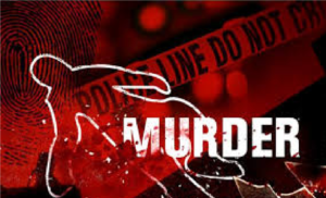 Murder Case