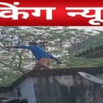 CG Crime News